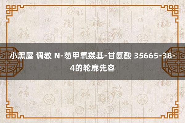 小黑屋 调教 N-芴甲氧羰基-甘氨酸 35665-38-4的轮廓先容