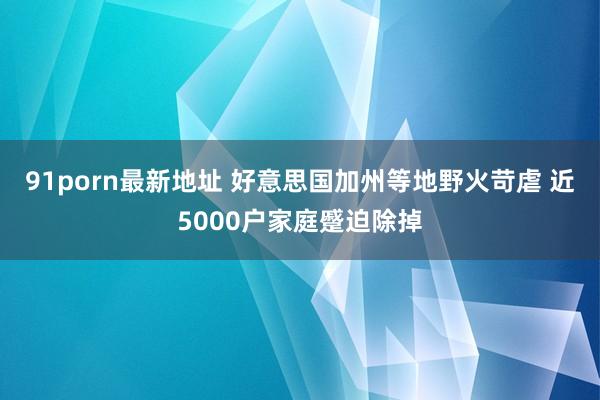 91porn最新地址 好意思国加州等地野火苛虐 近5000户家庭蹙迫除掉