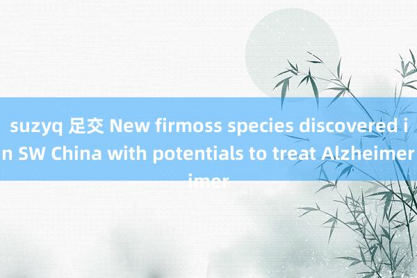 suzyq 足交 New firmoss species discovered in SW China with potentials to treat Alzheimer