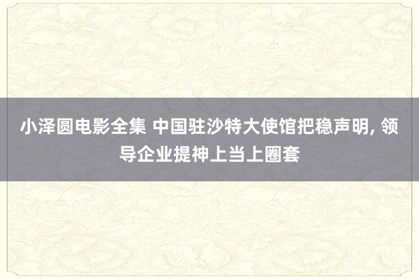 小泽圆电影全集 中国驻沙特大使馆把稳声明， 领导企业提神上当上圈套