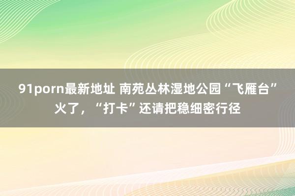 91porn最新地址 南苑丛林湿地公园“飞雁台”火了，“打卡”还请把稳细密行径