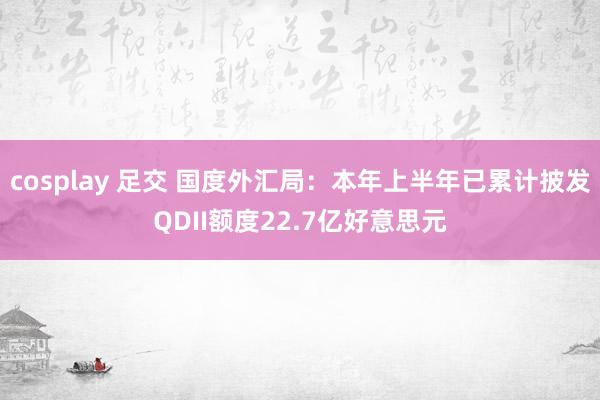 cosplay 足交 国度外汇局：本年上半年已累计披发QDII额度22.7亿好意思元