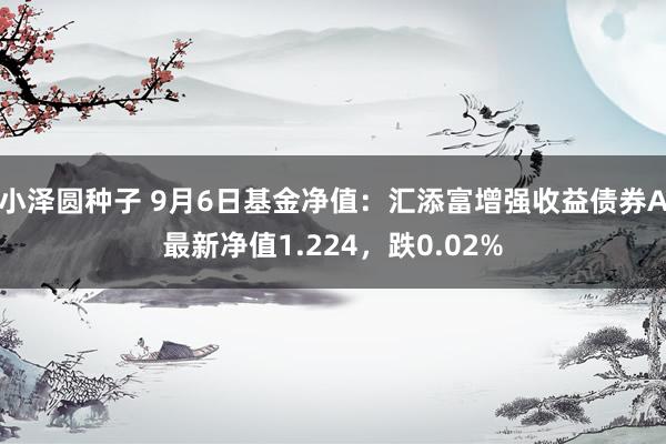 小泽圆种子 9月6日基金净值：汇添富增强收益债券A最新净值1.224，跌0.02%