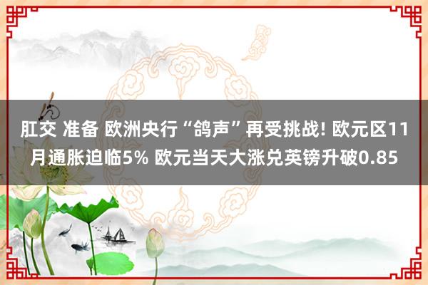 肛交 准备 欧洲央行“鸽声”再受挑战! 欧元区11月通胀迫临5% 欧元当天大涨兑英镑升破0.85