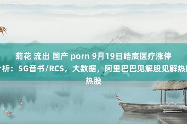 菊花 流出 国产 porn 9月19日皓宸医疗涨停分析：5G音书/RCS，大数据，阿里巴巴见解股见解热股