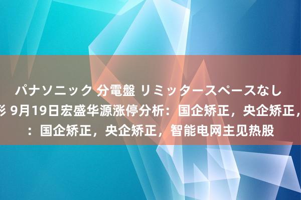 パナソニック 分電盤 リミッタースペースなし 露出・半埋込両用形 9月19日宏盛华源涨停分析：国企矫正，央企矫正，智能电网主见热股