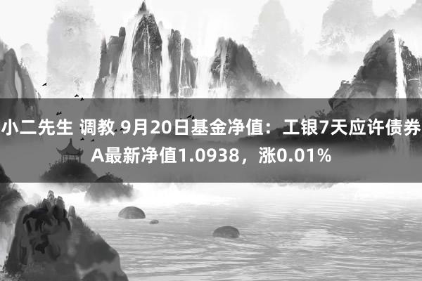 小二先生 调教 9月20日基金净值：工银7天应许债券A最新净值1.0938，涨0.01%