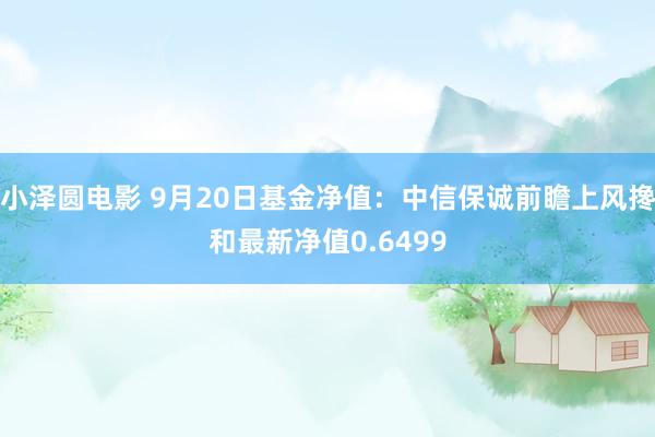 小泽圆电影 9月20日基金净值：中信保诚前瞻上风搀和最新净值0.6499