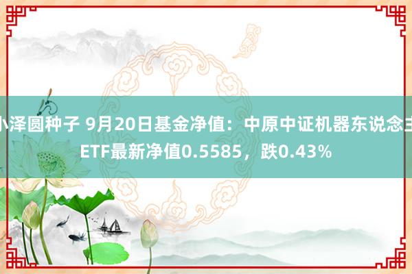 小泽圆种子 9月20日基金净值：中原中证机器东说念主ETF最新净值0.5585，跌0.43%