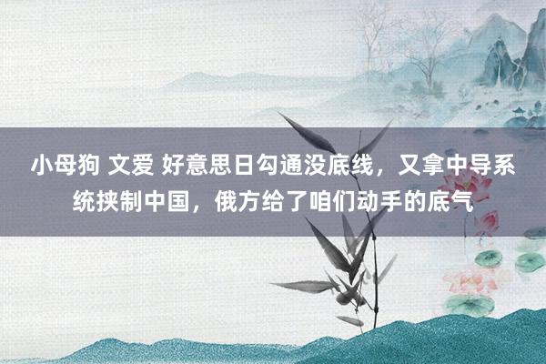 小母狗 文爱 好意思日勾通没底线，又拿中导系统挟制中国，俄方给了咱们动手的底气