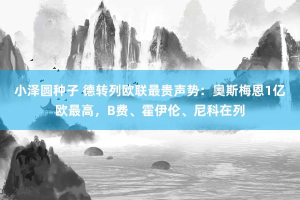 小泽圆种子 德转列欧联最贵声势：奥斯梅恩1亿欧最高，B费、霍伊伦、尼科在列