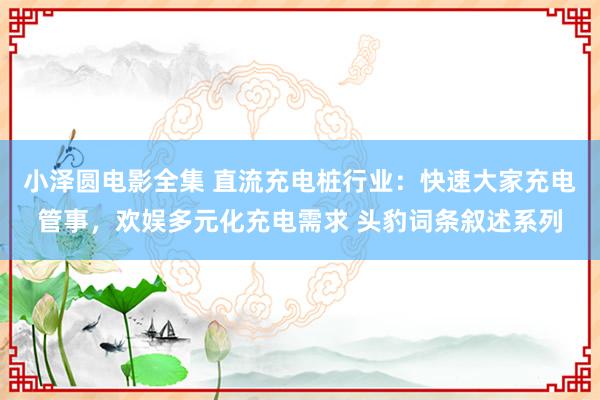 小泽圆电影全集 直流充电桩行业：快速大家充电管事，欢娱多元化充电需求 头豹词条叙述系列