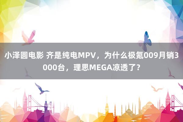 小泽圆电影 齐是纯电MPV，为什么极氪009月销3000台，理思MEGA凉透了？