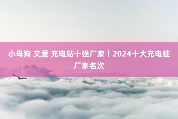 小母狗 文爱 充电站十强厂家丨2024十大充电桩厂家名次