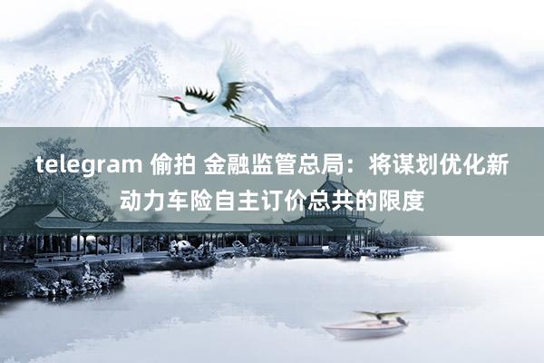 telegram 偷拍 金融监管总局：将谋划优化新动力车险自主订价总共的限度