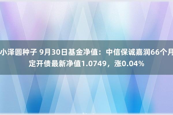 小泽圆种子 9月30日基金净值：中信保诚嘉润66个月定开债最新净值1.0749，涨0.04%