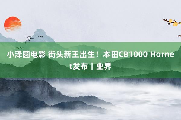 小泽圆电影 街头新王出生！本田CB1000 Hornet发布丨业界