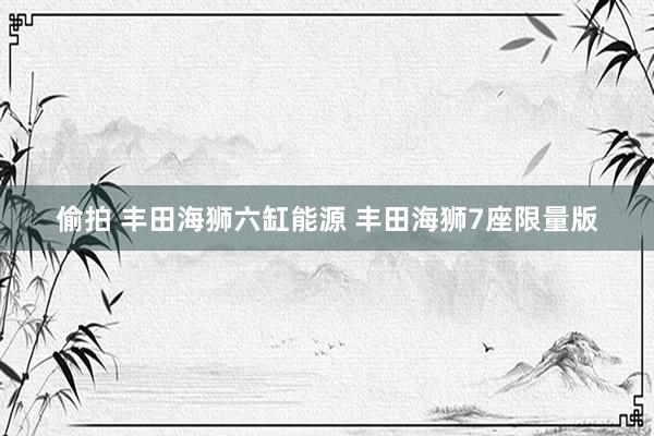 偷拍 丰田海狮六缸能源 丰田海狮7座限量版