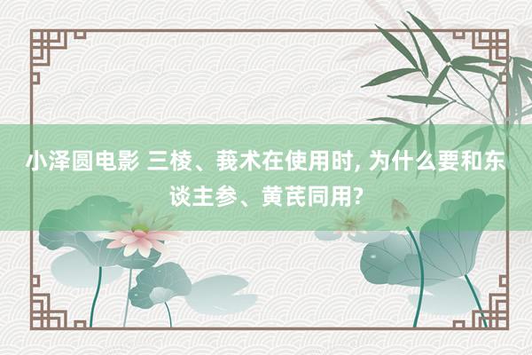 小泽圆电影 三棱、莪术在使用时， 为什么要和东谈主参、黄芪同用?