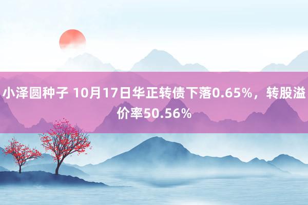 小泽圆种子 10月17日华正转债下落0.65%，转股溢价率50.56%