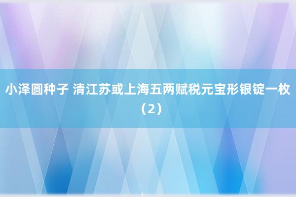 小泽圆种子 清江苏或上海五两赋税元宝形银锭一枚（2）