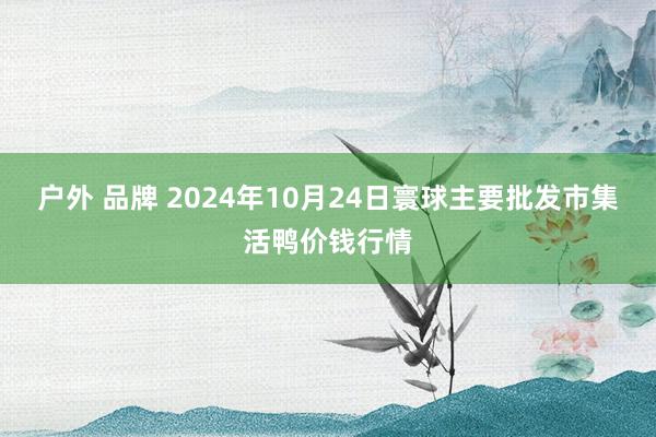 户外 品牌 2024年10月24日寰球主要批发市集活鸭价钱行情