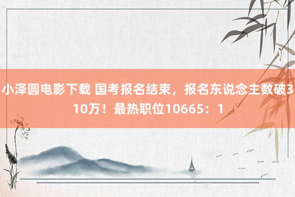 小泽圆电影下载 国考报名结束，报名东说念主数破310万！最热职位10665：1