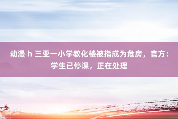 动漫 h 三亚一小学教化楼被指成为危房，官方：学生已停课，正在处理