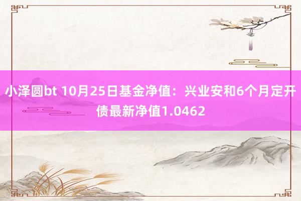 小泽圆bt 10月25日基金净值：兴业安和6个月定开债最新净值1.0462