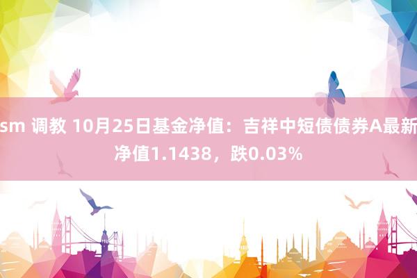 sm 调教 10月25日基金净值：吉祥中短债债券A最新净值1.1438，跌0.03%