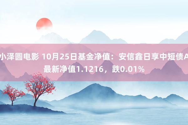 小泽圆电影 10月25日基金净值：安信鑫日享中短债A最新净值1.1216，跌0.01%