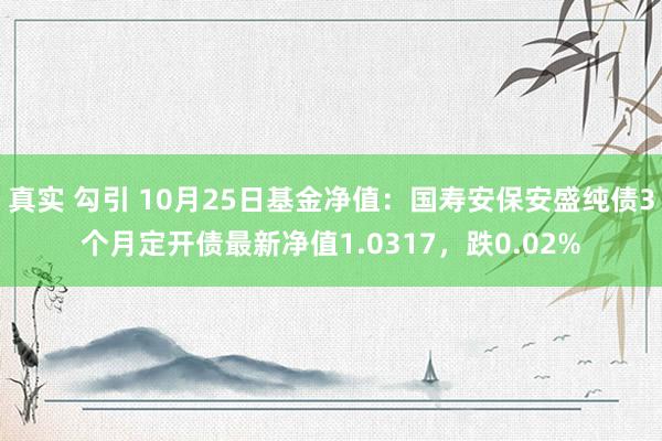 真实 勾引 10月25日基金净值：国寿安保安盛纯债3个月定开债最新净值1.0317，跌0.02%