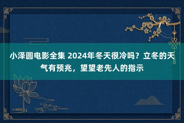 小泽圆电影全集 2024年冬天很冷吗？立冬的天气有预兆，望望老先人的指示