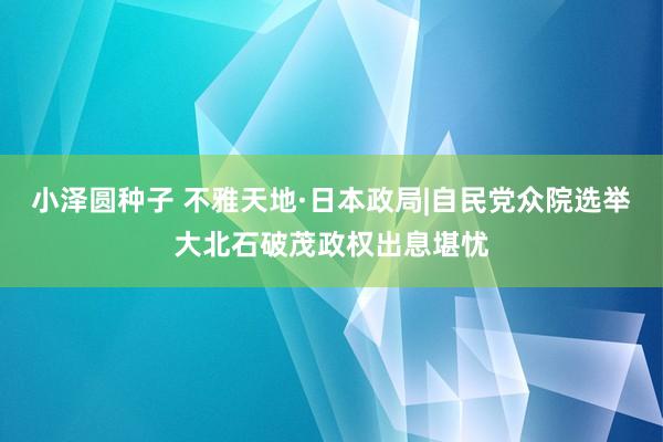 小泽圆种子 不雅天地·日本政局|自民党众院选举大北石破茂政权出息堪忧