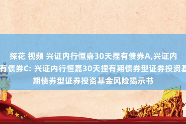 探花 视频 兴证内行恒嘉30天捏有债券A，兴证内行恒嘉30天捏有债券C: 兴证内行恒嘉30天捏有期债券型证券投资基金风险揭示书