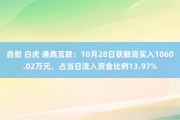 自慰 白虎 通鼎互联：10月28日获融资买入1060.02万元，占当日流入资金比例13.97%