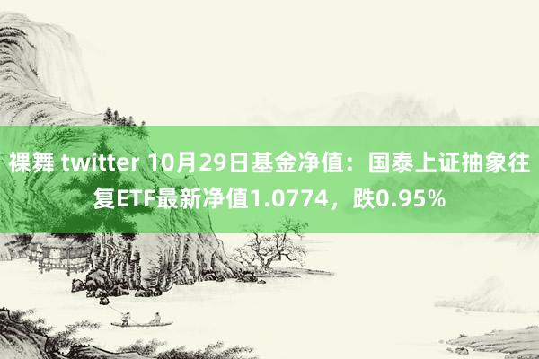 裸舞 twitter 10月29日基金净值：国泰上证抽象往复ETF最新净值1.0774，跌0.95%