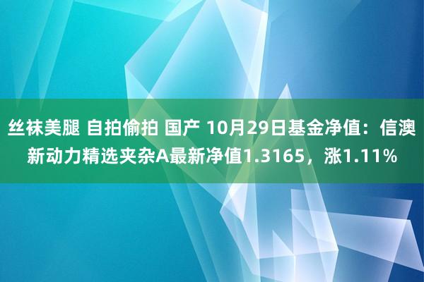 丝袜美腿 自拍偷拍 国产 10月29日基金净值：信澳新动力精选夹杂A最新净值1.3165，涨1.11%