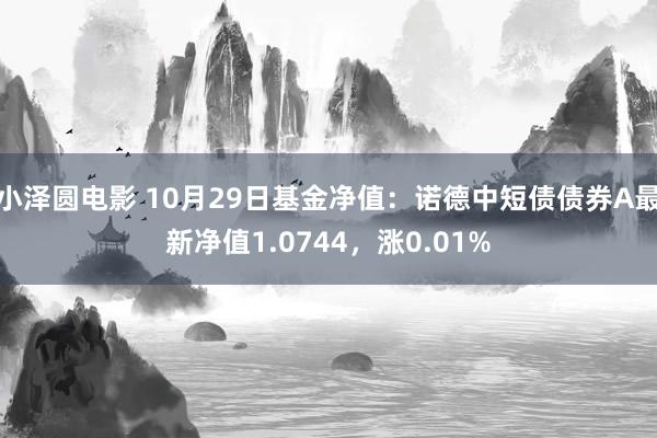 小泽圆电影 10月29日基金净值：诺德中短债债券A最新净值1.0744，涨0.01%