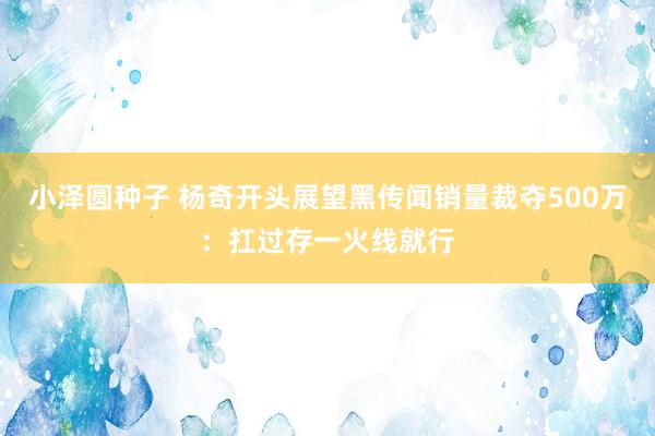 小泽圆种子 杨奇开头展望黑传闻销量裁夺500万：扛过存一火线就行