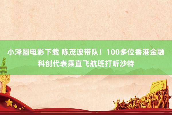 小泽圆电影下载 陈茂波带队！100多位香港金融科创代表乘直飞航班打听沙特