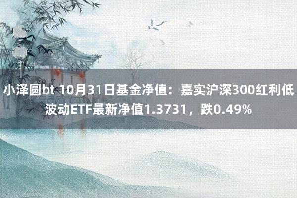 小泽圆bt 10月31日基金净值：嘉实沪深300红利低波动ETF最新净值1.3731，跌0.49%