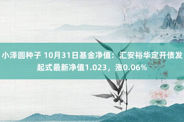 小泽圆种子 10月31日基金净值：汇安裕华定开债发起式最新净值1.023，涨0.06%