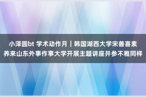 小泽圆bt 学术动作月｜韩国湖西大学宋善喜素养来山东外事作事大学开展主题讲座并参不雅同样