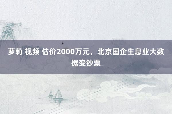 萝莉 视频 估价2000万元，北京国企生息业大数据变钞票