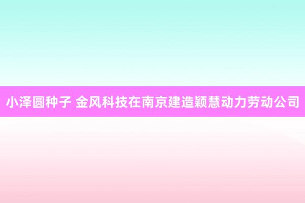 小泽圆种子 金风科技在南京建造颖慧动力劳动公司