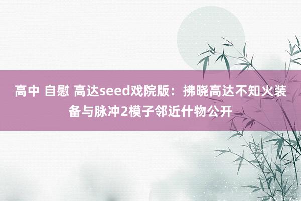 高中 自慰 高达seed戏院版：拂晓高达不知火装备与脉冲2模子邻近什物公开