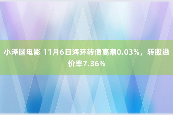 小泽圆电影 11月6日海环转债高潮0.03%，转股溢价率7.36%