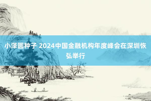 小泽圆种子 2024中国金融机构年度峰会在深圳恢弘举行