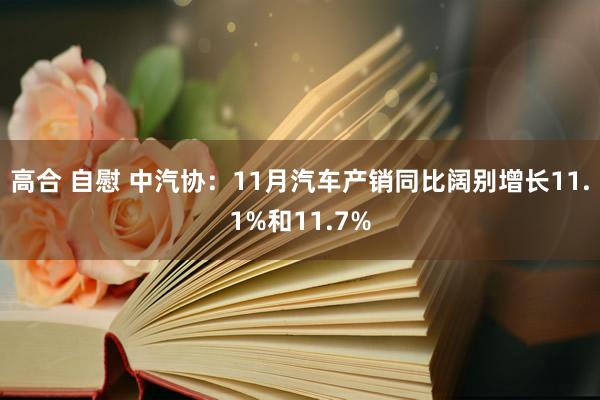 高合 自慰 中汽协：11月汽车产销同比阔别增长11.1%和11.7%